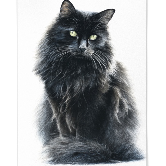 Watercolor Siberian Black Cat Art Print Illustartion - Pet Portrait - Unframed - Picture 2 of 6